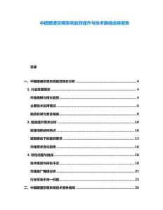 中國暖通空調系統能效提升與技術路線選擇報告