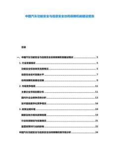 中国汽车功能安全与信息安全协同保障机制建设报告