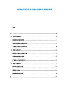 中國(guó)氫能源汽車技術(shù)路線與基礎(chǔ)設(shè)施研究報(bào)告