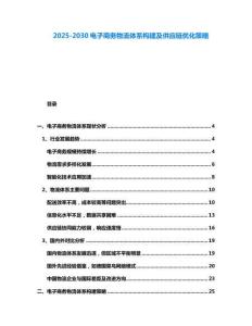2025-2030電子商務(wù)物流體系構(gòu)建及供應(yīng)鏈優(yōu)化策略