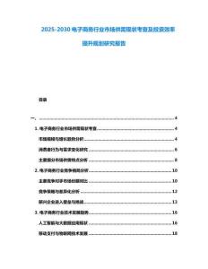 2025-2030電子商務行業市場供需現狀考查及投資效率提升規劃研究報告