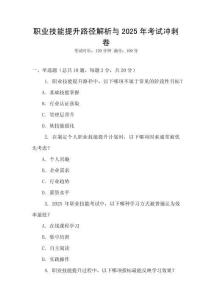 職業技能提升路徑解析與2025年考試沖刺卷