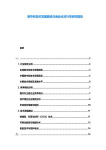 碳中和技術(shù)發(fā)展路徑與商業(yè)化可行性研究報(bào)告