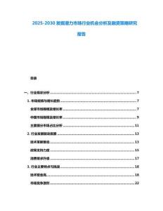 2025-2030發掘潛力市場行業機會分析及融資策略研究報告