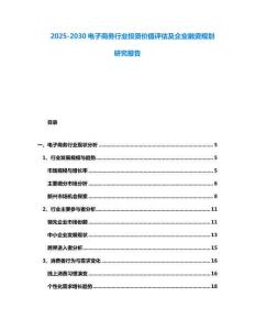 2025-2030電子商務行業投資價值評估及企業融資規劃研究報告