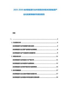 2025-2030光伏新能源行業(yè)市場(chǎng)現(xiàn)狀供需關(guān)系新能源產(chǎn)業(yè)化發(fā)展策略研究規(guī)劃報(bào)告