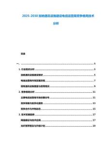 2025-2030加納通訊設(shè)施建設(shè)電信運營商競爭格局技術(shù)分析