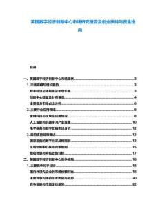 英國數字經濟創新中心市場研究報告及創業扶持與資金投向