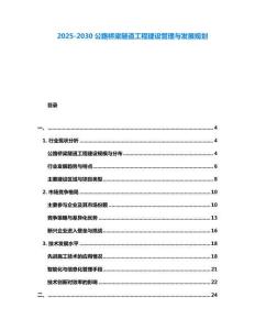 2025-2030公路橋梁隧道工程建設管理與發(fā)展規(guī)劃