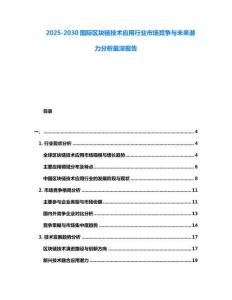 2025-2030國際區塊鏈技術應用行業市場競爭與未來潛力分析最深報告