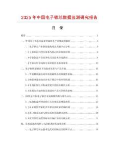 2025年中國電子鎖芯數據監測研究報告