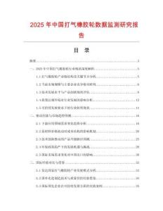 2025年中國打氣橡膠輪數據監測研究報告
