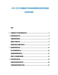 2025-2030中國能源產(chǎn)業(yè)市場供需現(xiàn)狀及投資評估規(guī)劃分析研究報(bào)告