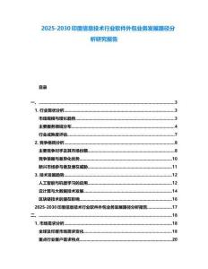 2025-2030印度信息技術行業(yè)軟件外包業(yè)務發(fā)展路徑分析研究報告