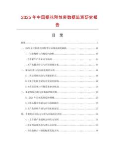 2025年中國提花剛性帶數據監測研究報告