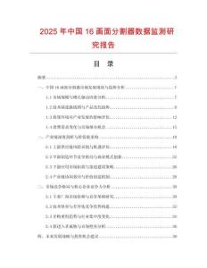 2025年中國16畫面分割器數(shù)據(jù)監(jiān)測研究報告