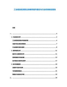 工業(yè)視覺(jué)檢測(cè)算法準(zhǔn)確率提升路徑與行業(yè)標(biāo)準(zhǔn)制定報(bào)告