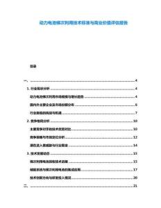 動力電池梯次利用技術標準與商業(yè)價值評估報告