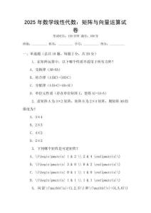 2025年數學線性代數：矩陣與向量運算試卷