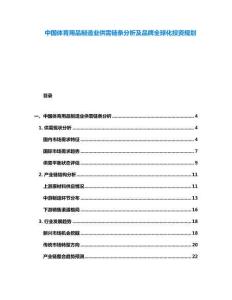 中國體育用品制造業(yè)供需鏈條分析及品牌全球化投資規(guī)劃