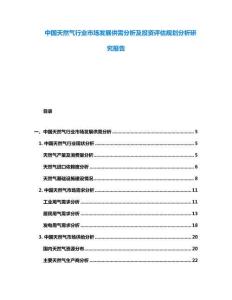 中國天然氣行業(yè)市場發(fā)展供需分析及投資評估規(guī)劃分析研究報告