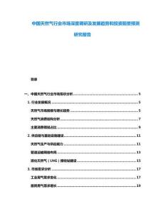 中國天然氣行業(yè)市場深度調(diào)研及發(fā)展趨勢和投資前景預(yù)測研究報告