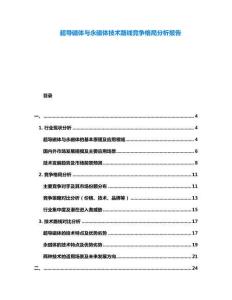 超導(dǎo)磁體與永磁體技術(shù)路線競爭格局分析報告