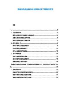 鋰電池負(fù)極材料技術(shù)創(chuàng)新與成本下降路徑研究