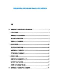 磁畴观测技术在材料科学研究中的方法论创新报告