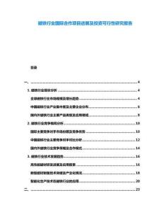 磁鐵行業(yè)國際合作項目進展及投資可行性研究報告