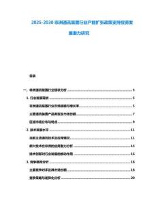 2025-2030非洲通訊裝置行業(yè)產(chǎn)能擴(kuò)張政策支持投資發(fā)展?jié)摿ρ芯?><span id=