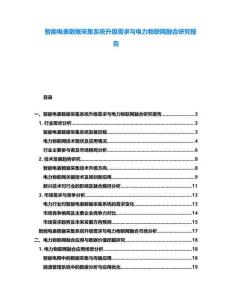 智能電表數(shù)據(jù)采集系統(tǒng)升級(jí)需求與電力物聯(lián)網(wǎng)融合研究報(bào)告