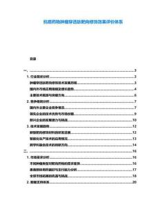抗癌藥物腫瘤穿透肽靶向修飾效果評價體系