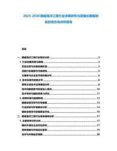 2025-2030挪威海洋工程行業(yè)詳細(xì)研究與發(fā)展長期規(guī)劃及投資方向分析報(bào)告