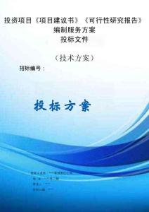 投資項(xiàng)目《項(xiàng)目建議書》《可性研究報(bào)告》等編制服務(wù)方案投標(biāo)文件（技術(shù)方案）