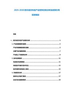 2025-2030防災減災科技產業競爭態勢分析及政策引導投資規劃