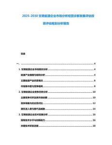 2025-2030甘肅能源企業市場分析經營診斷發展評估投資評估規劃分析報告
