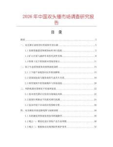 2026年中國雙頭錘市場調查研究報告