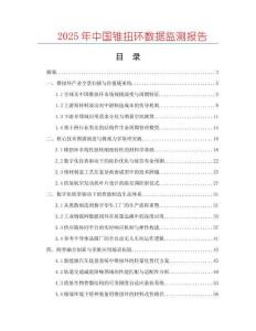 2025年中國錐扭環數據監測報告