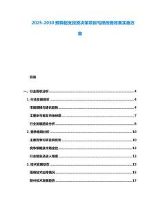 2025-2030預(yù)算超支投資決策項(xiàng)目虧損改善效果實(shí)施方案