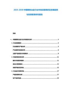 2025-2030中國鋼鐵冶金行業市場深度調研及發展趨勢與投資前景研究報告