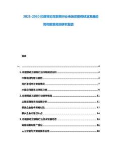 2025-2030印度移動互聯網行業市場深度調研及發展趨勢和前景預測研究報告