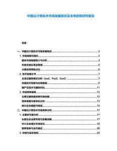 中國(guó)云計(jì)算技術(shù)市場(chǎng)發(fā)展現(xiàn)狀及未來(lái)趨勢(shì)研究報(bào)告