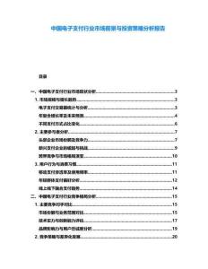 中國電子支付行業市場前景與投資策略分析報告