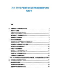 2025-2030礦產資源開發(fā)行業(yè)非洲地區(qū)資源勘探與市場風險分析