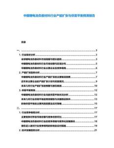 中國鋰電池負極材料行業產能擴張與供需平衡預測報告