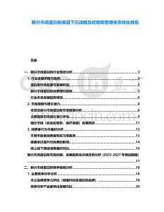 新興市場(chǎng)蛋白粉渠道下沉戰(zhàn)略及經(jīng)銷商管理體系優(yōu)化報(bào)告