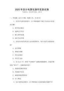 2025年會計電算化操作實務試卷