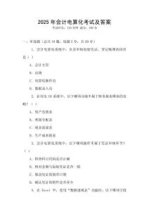 2025年會計電算化考試及答案