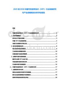 2025至2030中國可變速率技術(shù)（VRT）行業(yè)發(fā)展研究與產(chǎn)業(yè)戰(zhàn)略規(guī)劃分析評估報告